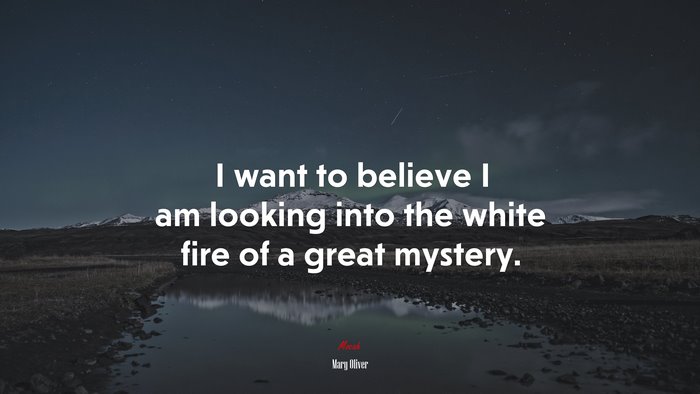 I want to believe I am looking into the white fire of a great mystery. | Mary Oliver quote