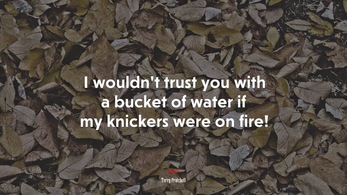I wouldn’t trust you with a bucket of water if my knickers were on fire! | Terry Pratchett quote