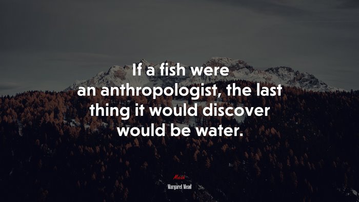 If a fish were an anthropologist, the last thing it would discover would be water. | Margaret Mead quote