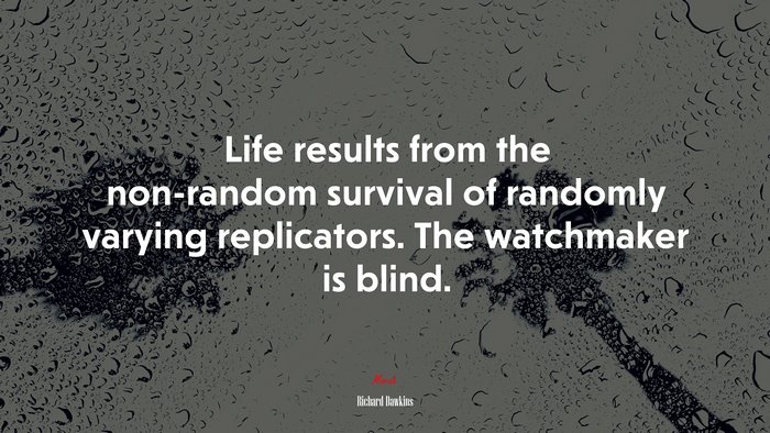 Life results from the non-random survival of randomly varying replicators. The watchmaker is blind. | Richard Dawkins quote