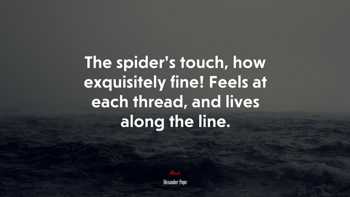 The spider’s touch, how exquisitely fine! Feels at each thread, and lives along the line. | Alexander Pope quote