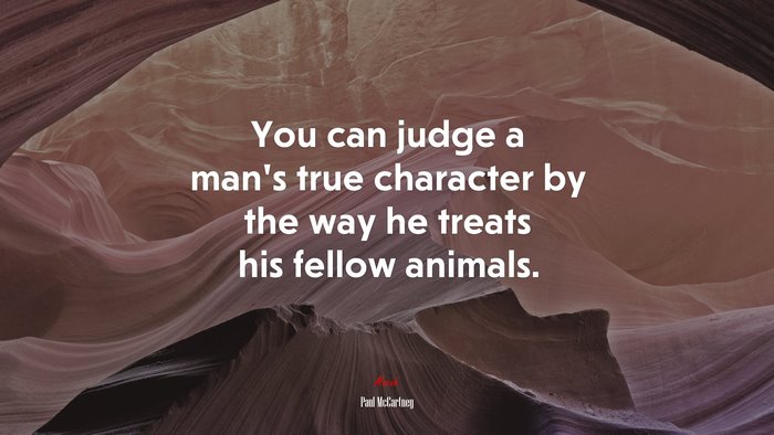You can judge a man’s true character by the way he treats his fellow animals. | Paul McCartney quote