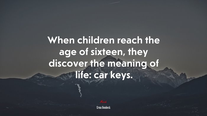 When children reach the age of sixteen, they discover the meaning of life: car keys. | Erma Bombeck quote