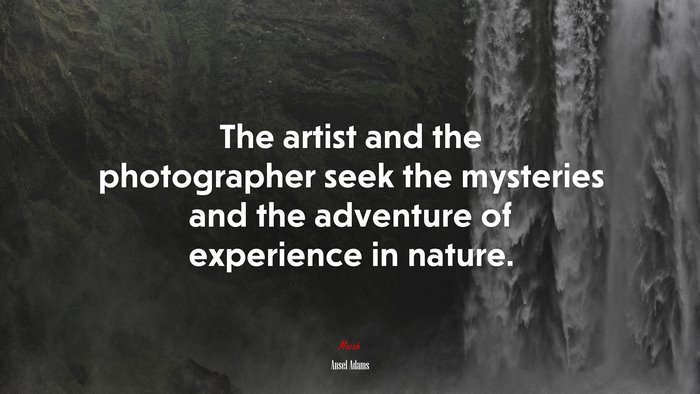 The artist and the photographer seek the mysteries and the adventure of experience in nature. | Ansel Adams quote
