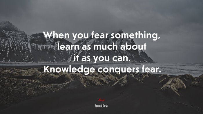 When you fear something, learn as much about it as you can. Knowledge conquers fear. | Edmund Burke quote