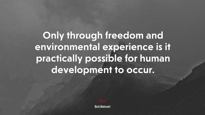 Only through freedom and environmental experience is it practically possible for human development to occur. | Maria Montessori quote