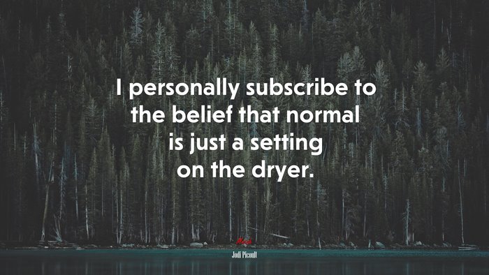 I personally subscribe to the belief that normal is just a setting on the dryer. | Jodi Picoult quote