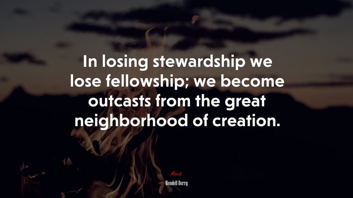 In losing stewardship we lose fellowship; we become outcasts from the great neighborhood of creation. | Wendell Berry quote