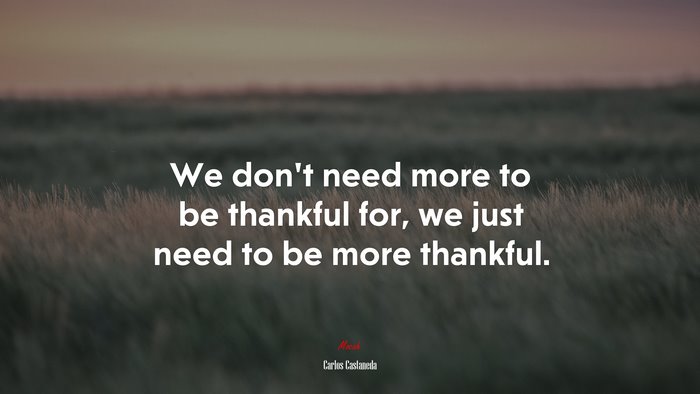 We don’t need more to be thankful for, we just need to be more thankful. | Carlos Castaneda quote