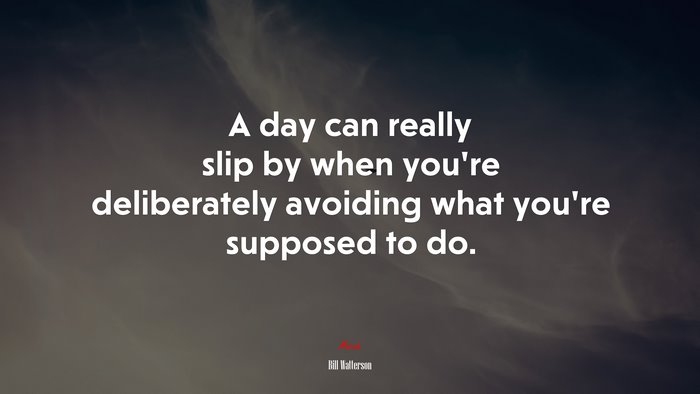 A day can really slip by when you’re deliberately avoiding what you’re supposed to do. | Bill Watterson quote