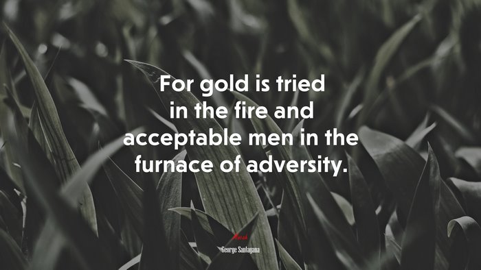 For gold is tried in the fire and acceptable men in the furnace of adversity. | George Santayana quote