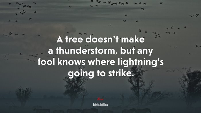 A tree doesn’t make a thunderstorm, but any fool knows where lightning’s going to strike. | Patrick Rothfuss quote