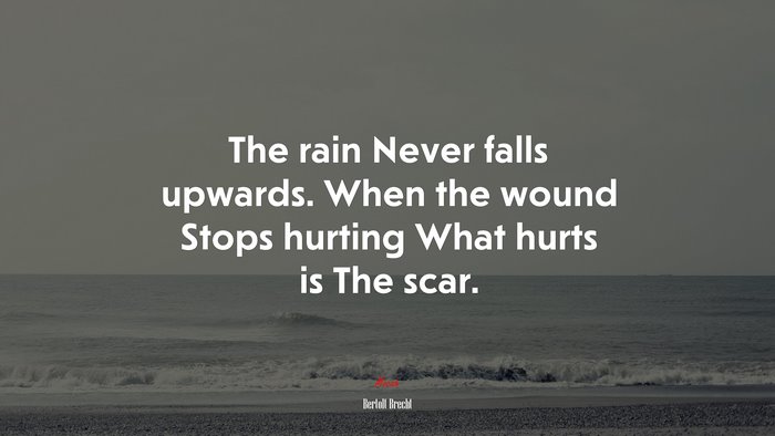 The rain Never falls upwards. When the wound Stops hurting What hurts is The scar. | Bertolt Brecht quote
