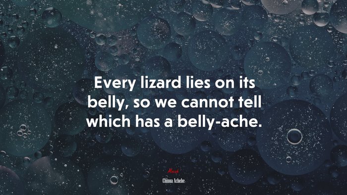 Every lizard lies on its belly, so we cannot tell which has a belly-ache. | Chinua Achebe quote