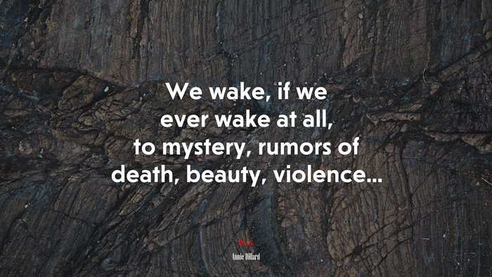 We wake, if we ever wake at all, to mystery, rumors of death, beauty, violence... | Annie Dillard quote