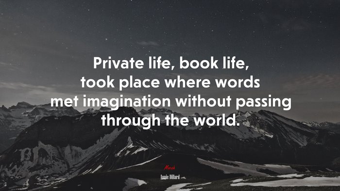 Private life, book life, took place where words met imagination without passing through the world. | Annie Dillard quote