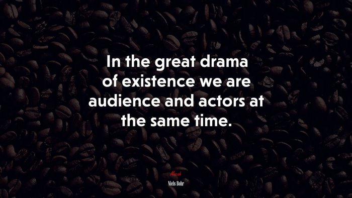 In the great drama of existence we are audience and actors at the same time. | Niels Bohr quote