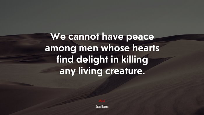 We cannot have peace among men whose hearts find delight in killing any living creature. | Rachel Carson quote