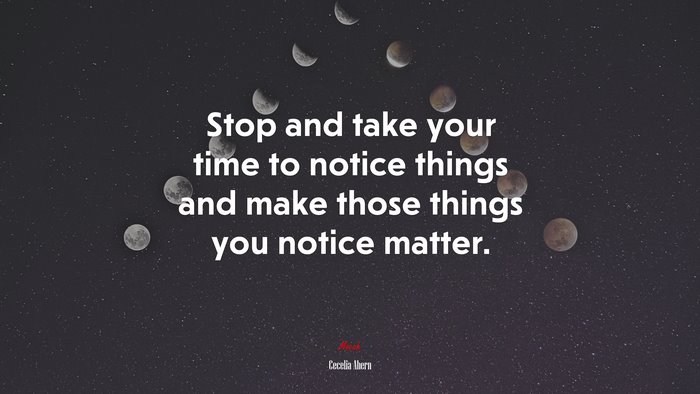 Stop and take your time to notice things and make those things you notice matter. | Cecelia Ahern quote