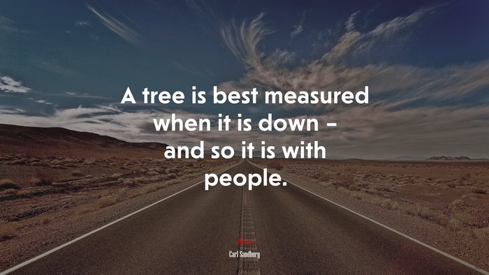 A tree is best measured when it is down – and so it is with people. | Carl Sandburg quote