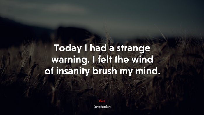 Today I had a strange warning. I felt the wind of insanity brush my mind. | Charles Baudelaire quote