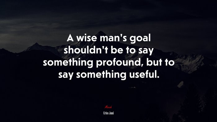 A wise man’s goal shouldn’t be to say something profound, but to say something useful. | Criss Jami quote
