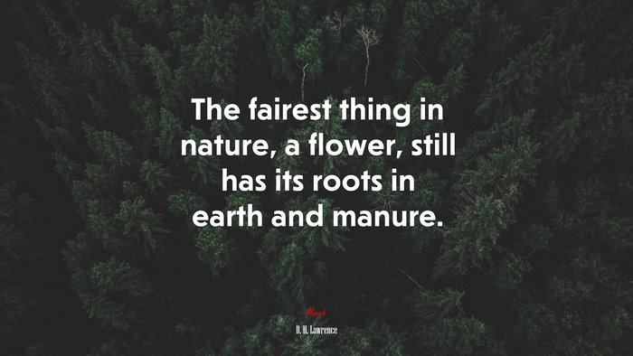 The fairest thing in nature, a flower, still has its roots in earth and manure. | D. H. Lawrence quote