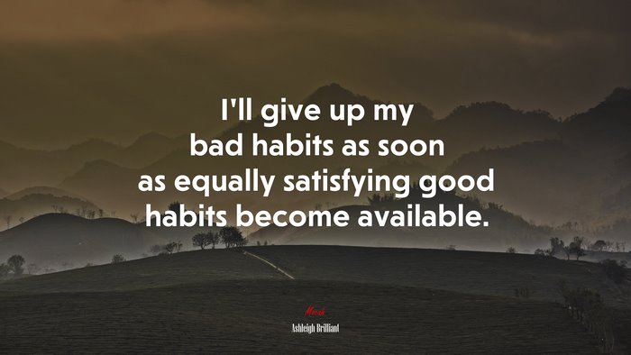 I’ll give up my bad habits as soon as equally satisfying good habits become available. | Ashleigh Brilliant quote