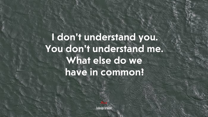 I don’t understand you. You don’t understand me. What else do we have in common? | Ashleigh Brilliant quote