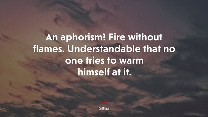 An aphorism? Fire without flames. Understandable that no one tries to warm himself at it. | Emil Cioran quote