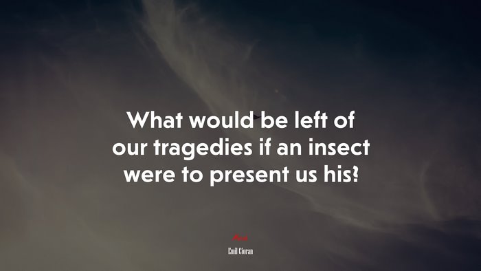 What would be left of our tragedies if an insect were to present us his? | Emil Cioran quote