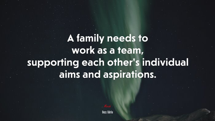A family needs to work as a team, supporting each other’s individual aims and aspirations. | Buzz Aldrin quote