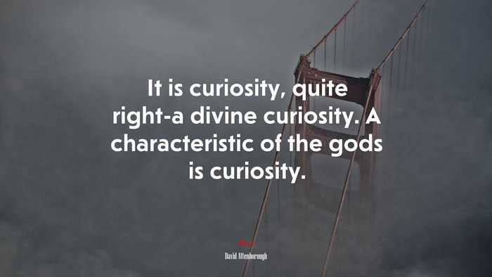 It is curiosity, quite right-a divine curiosity. A characteristic of the gods is curiosity. | David Attenborough quote
