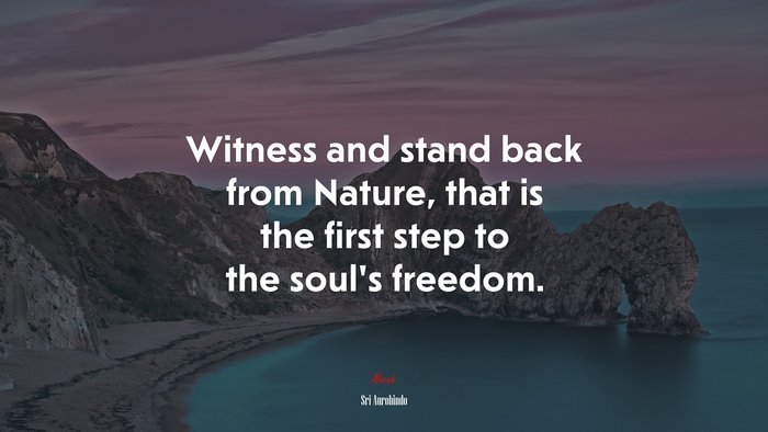 Witness and stand back from Nature, that is the first step to the soul’s freedom. | Sri Aurobindo quote
