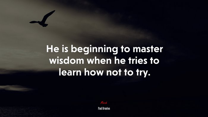 He is beginning to master wisdom when he tries to learn how not to try. | Paul Brunton quote