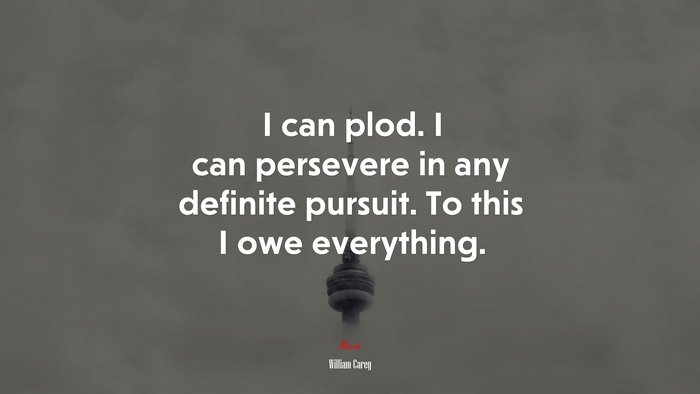 I can plod. I can persevere in any definite pursuit. To this I owe everything. | William Carey quote