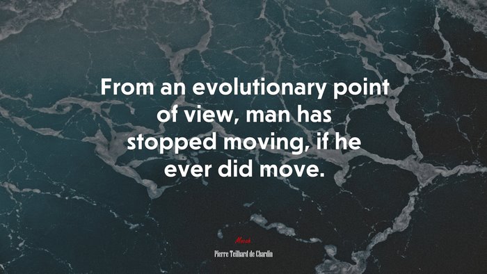 From an evolutionary point of view, man has stopped moving, if he ever did move. | Pierre Teilhard de Chardin quote