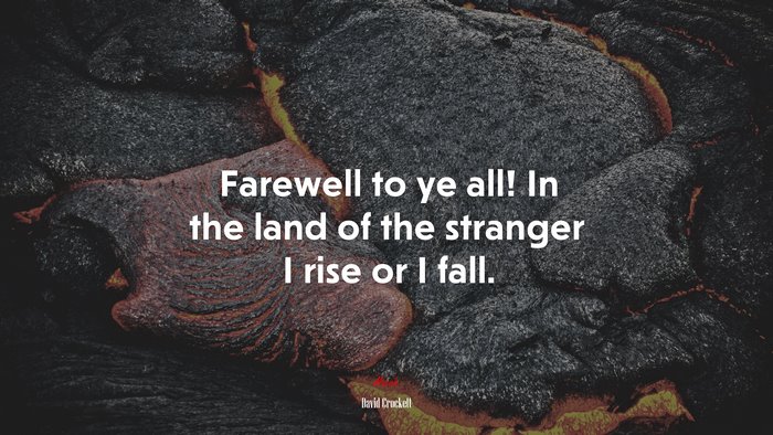 Farewell to ye all! In the land of the stranger I rise or I fall. | David Crockett quote