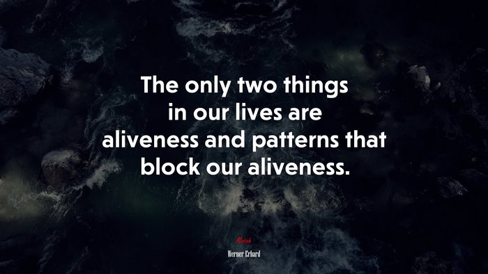 The only two things in our lives are aliveness and patterns that block our aliveness. | Werner Erhard quote