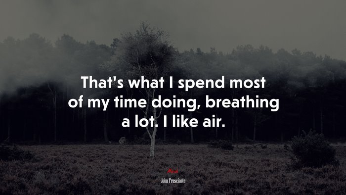That’s what I spend most of my time doing, breathing a lot. I like air. | John Frusciante quote