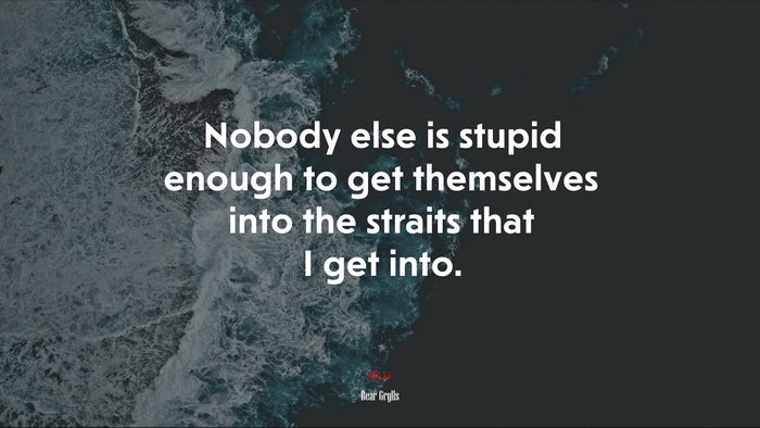 Nobody else is stupid enough to get themselves into the straits that I get into. | Bear Grylls quote