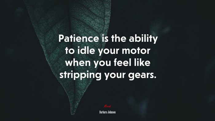 Patience is the ability to idle your motor when you feel like stripping your gears. | Barbara Johnson quote