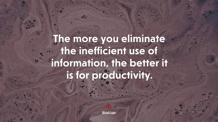 The more you eliminate the inefficient use of information, the better it is for productivity. | Mitchell Kapor quote
