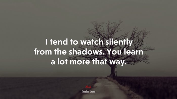 I tend to watch silently from the shadows. You learn a lot more that way. | Sherrilyn Kenyon quote