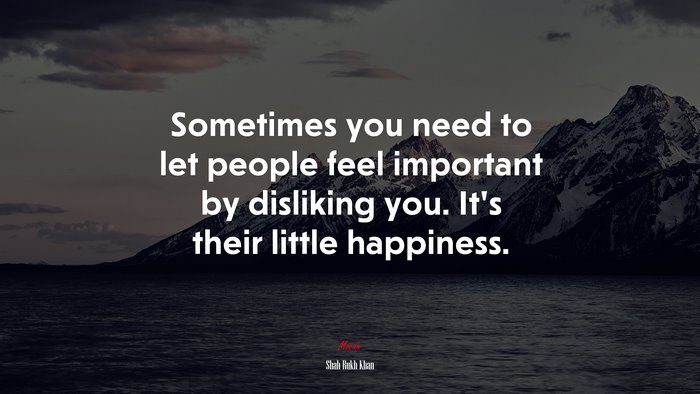 Sometimes you need to let people feel important by disliking you. It’s their little happiness. | Shah Rukh Khan quote