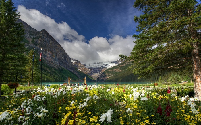 Lake Louise with Mountains and Flowers
