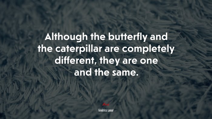 Although the butterfly and the caterpillar are completely different, they are one and the same. | Kendrick Lamar quote
