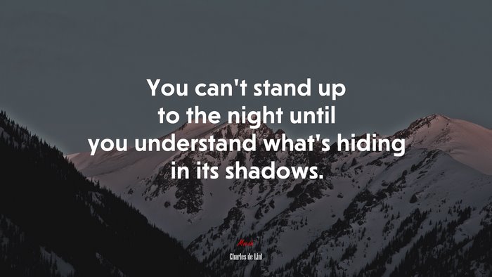 You can’t stand up to the night until you understand what’s hiding in its shadows. | Charles de Lint quote