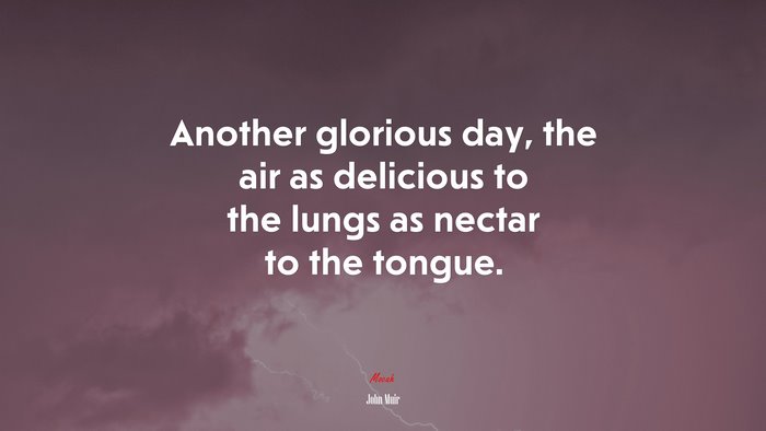 Another glorious day, the air as delicious to the lungs as nectar to the tongue. | John Muir quote