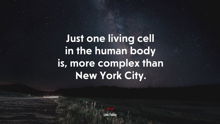 Just one living cell in the human body is, more complex than New York City. | Linus Pauling quote